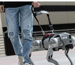 Замість собаки. У США створили робота-поводиря, який спілкується з людиною