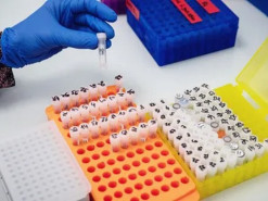 Дані охорони здоров'я Великої Британії виставлені на продаж на китайській Alibaba після витоку даних
