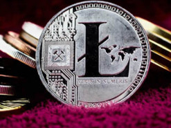 Пользователь Litecoin случайно заплатил комиссию в $20 000