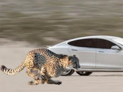 Електромобілі Tesla стартуватимуть з місця ще швидше