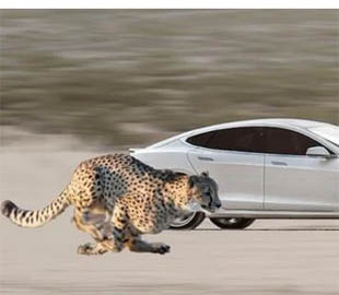 Електромобілі Tesla стартуватимуть з місця ще швидше