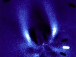 Унікальне явище. Комета раптово стала яскравішою у сто разів і набула форми корабля із Зоряних воєн