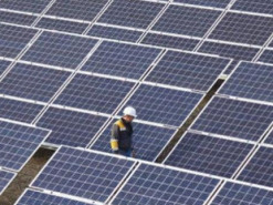 Лушпиння цибулі може захищати сонячні панелі: вчені зробили дивовижне відкриття