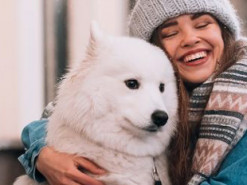 Чи будуть вихідні на Новий рік і Різдво: що треба знати українцям