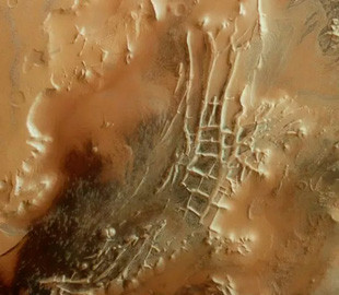 На фото з Марса показали таємничих павуків