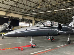 Британська компанія Babcock придбала 11 літаків L-39 “Альбатрос”