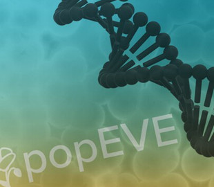 Вчені розробили ШІ для діагностики рідкісних генетичних захворювань