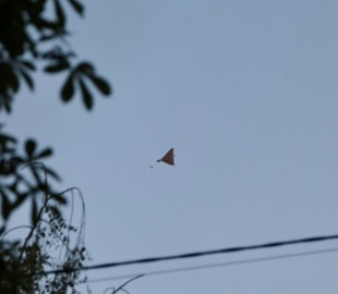 Компанії з Китаю продали РФ компоненти для дронів щонайменше на $63 мільйони - The Telegraph