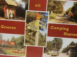Пошта Нідерландів доставила листівку через 42 роки після відправлення