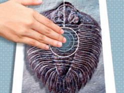 Дисплеи новых iPhone будут передавать ощущения