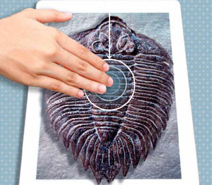 Дисплеи новых iPhone будут передавать ощущения