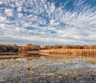 Запорізький фотохудожник показав вічну красу Хортиці восени