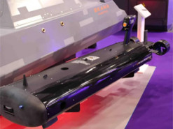 Розкриті технічні характеристики підводного розвідувального дрона Stingray