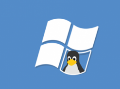 В Windows оказалось меньше уязвимостей, чем в Debian Linux