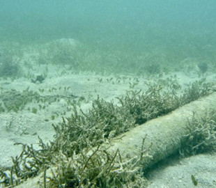 Росія збирає дані про підводні кабелі Європи: загроза для інтернету та фінансів світу