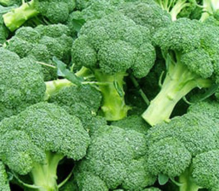 Мазь на основе брокколи оказалась в два раза эффективнее антибиотиков