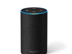 В США суд потребовал от Amazon передать данные с «умной» колонки, записанные в день двойного убийства