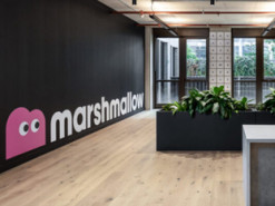 Британський стартап Marshmallow залучив $90 млн інвестицій і вперше досяг оцінки понад $2 млрд