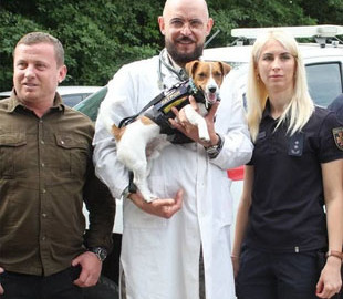 Пес Патрон пройшов медобстеження у ветеринарному шпиталі Хмельницької області