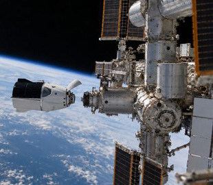 На МКС вирощують людський мозок: SpaceX доставила нові біотехнології NASA