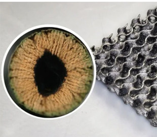 Витримує у 20 разів більший тиск. Нова техніка 3D-друку створює надміцні матеріали