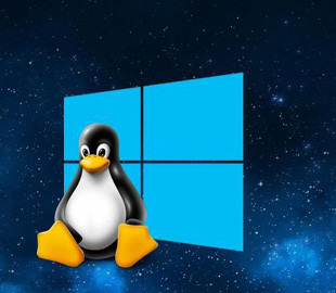 Багато користувачів Windows 10 замість "11-ки" переходять на Linux
