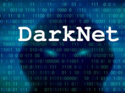 В России в даркнет слили личные данные миллионов избирателей из США