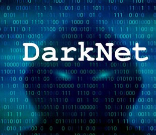 В России в даркнет слили личные данные миллионов избирателей из США