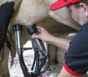 НКЕК готується «доїти» провайдерів, що підніме в Україні тарифи на інтернет