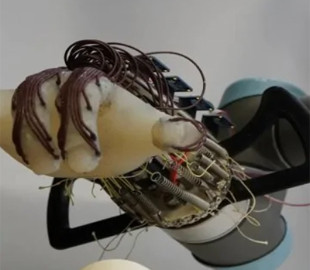 Нові роботи з передовим ШІ "врятують" Європу: що вони робитимуть