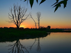 Гороскоп на 25 серпня для всіх знаків зодіаку: день чистої та доброї енергетики