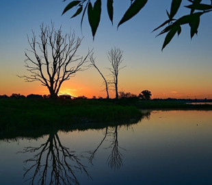 Гороскоп на 25 серпня для всіх знаків зодіаку: день чистої та доброї енергетики