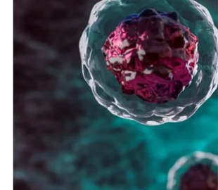 Нанотехнології. Словенські дослідники навчилися створювати полімерні об'єкти безпосередньо в клітині людини