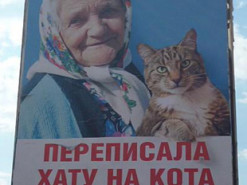Россияне украли украинский мем про бабушку и кота