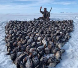 Депутат партии Путина выложил на снегу надпись из 200 убитых птиц. Фото