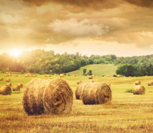 Вихідні дні у серпні 2022: скільки відпочиватимуть українці