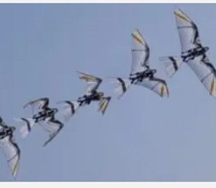 Китайські інженери представили робота RoboFalcon2.0, що імітує політ птахів