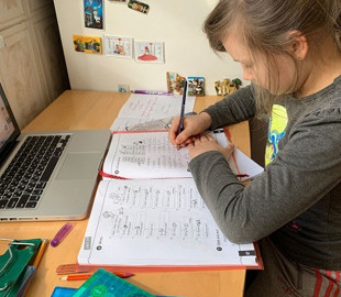 На дистанционное обучение отправлены полностью две николаевские школы и 156 классов