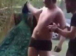 Поліція розслідує вбивство павича 18-річним п’яним юнаком із Буковини