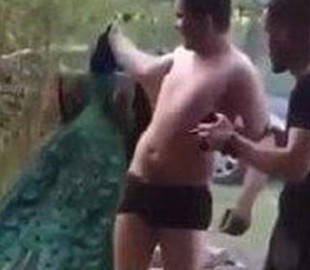 Поліція розслідує вбивство павича 18-річним п’яним юнаком із Буковини