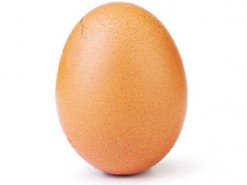 Новое фото куриного яйца стремительно набирает лайки в Instagram