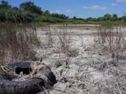 Соцсети высмеяли планы Кремля потратить 19 млрд на поиски воды в Крыму