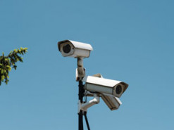 Полиция Нью-Йорка использовала систему распознавания лиц, чтобы найти протестующего активиста