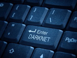 В даркнете продаются данные миллионов избирателей США