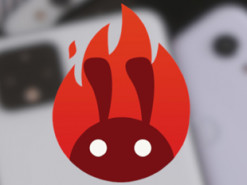 Определены лучшие смартфоны по соотношению цены и качества во всех ценовых категориях