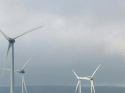 У Трампа тиснуть на світове енергетичне агентство через підтримку "зеленої" енергетики, - ЗМІ