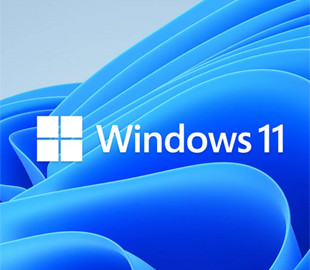 Пользователи перестали переходить на Windows 11 с более старых версий системы