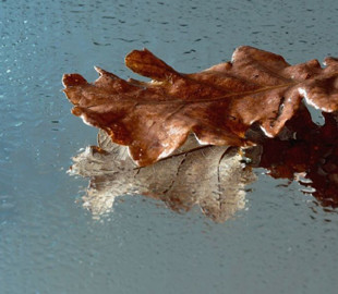 Гороскоп на 7 листопада для всіх знаків зодіаку: день, коли не можна скидати оберти