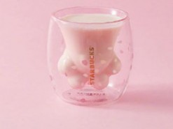 В Китае стаканы Starbucks в виде лап кошки вызвали ажиотаж: за них дерутся