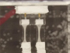 Двоногий робот із живими м'язами пройшовся під водою